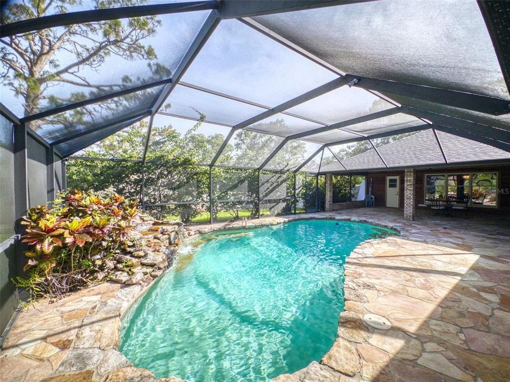 Glass Ceilings, Interior, Pool, Sun Room