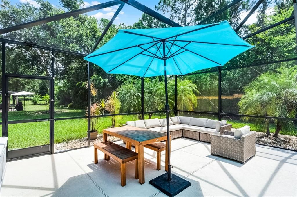 Glass Ceilings, Interior, Sun Room