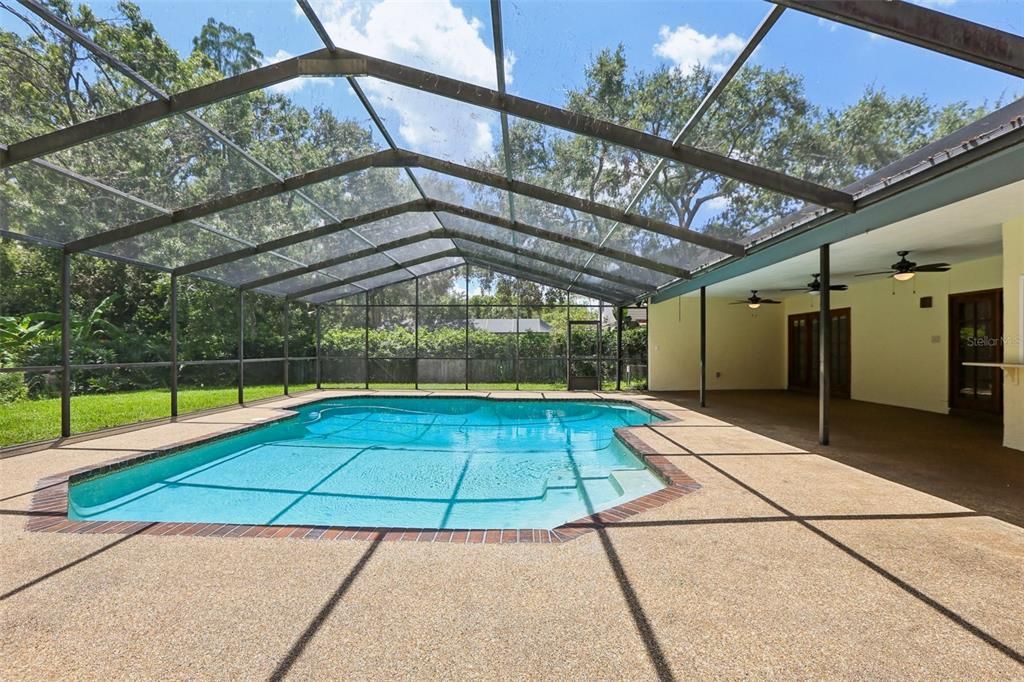 Glass Ceilings, Interior, Pool, Sun Room
