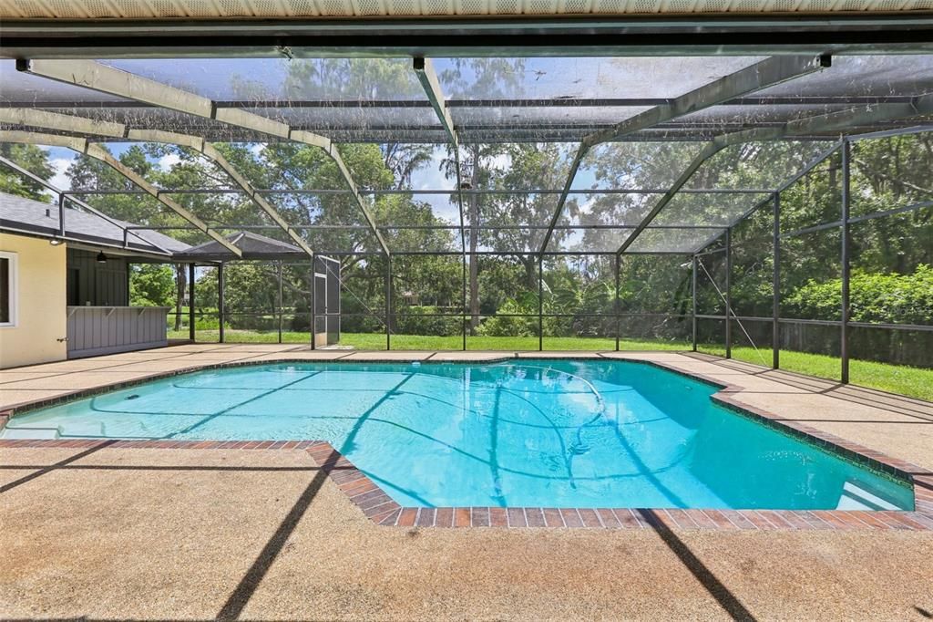 Glass Ceilings, Interior, Pool, Sun Room