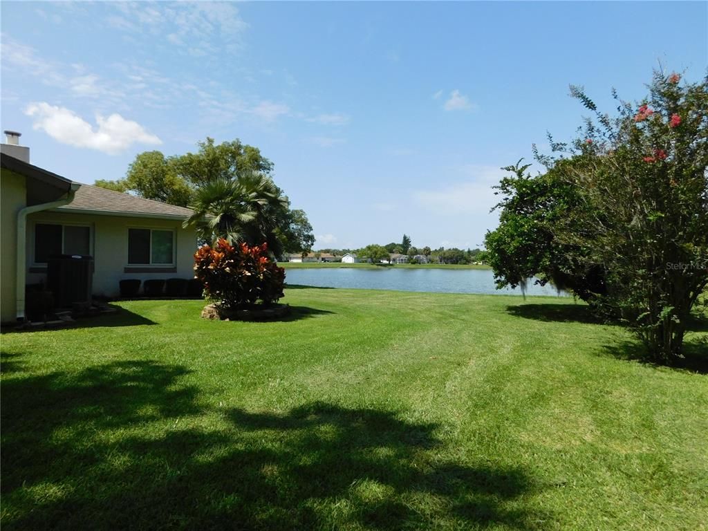 Backyard, Exterior, Water