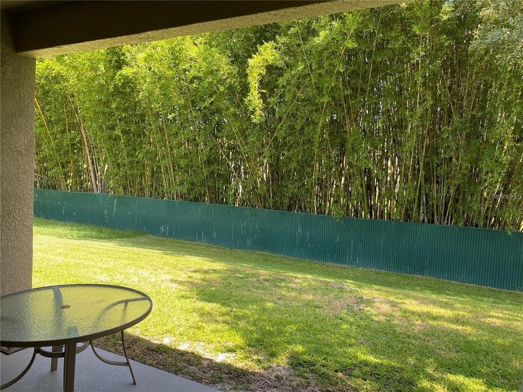 Backyard, Exterior