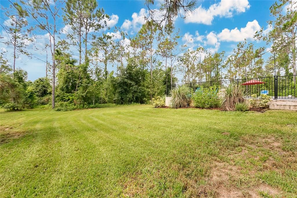 Backyard, Exterior