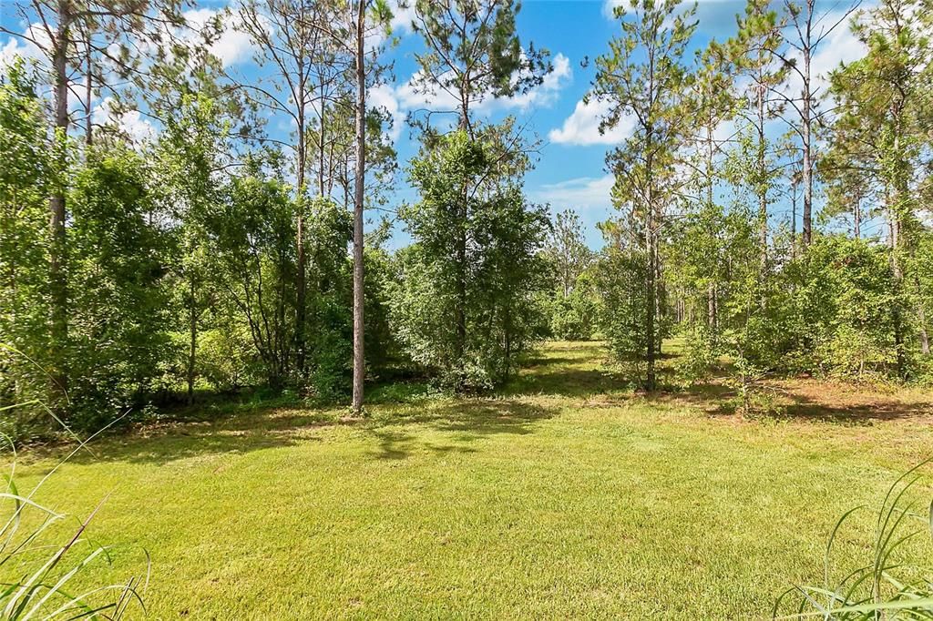Backyard, Exterior