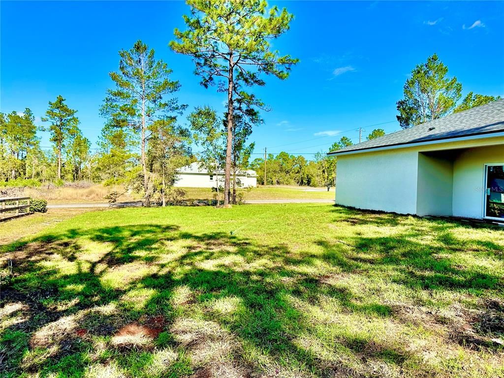Backyard, Exterior