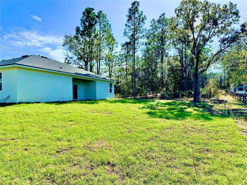 Backyard, Exterior