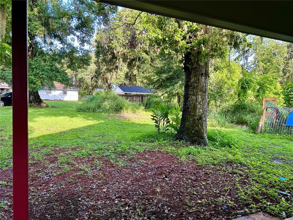 Backyard, Exterior