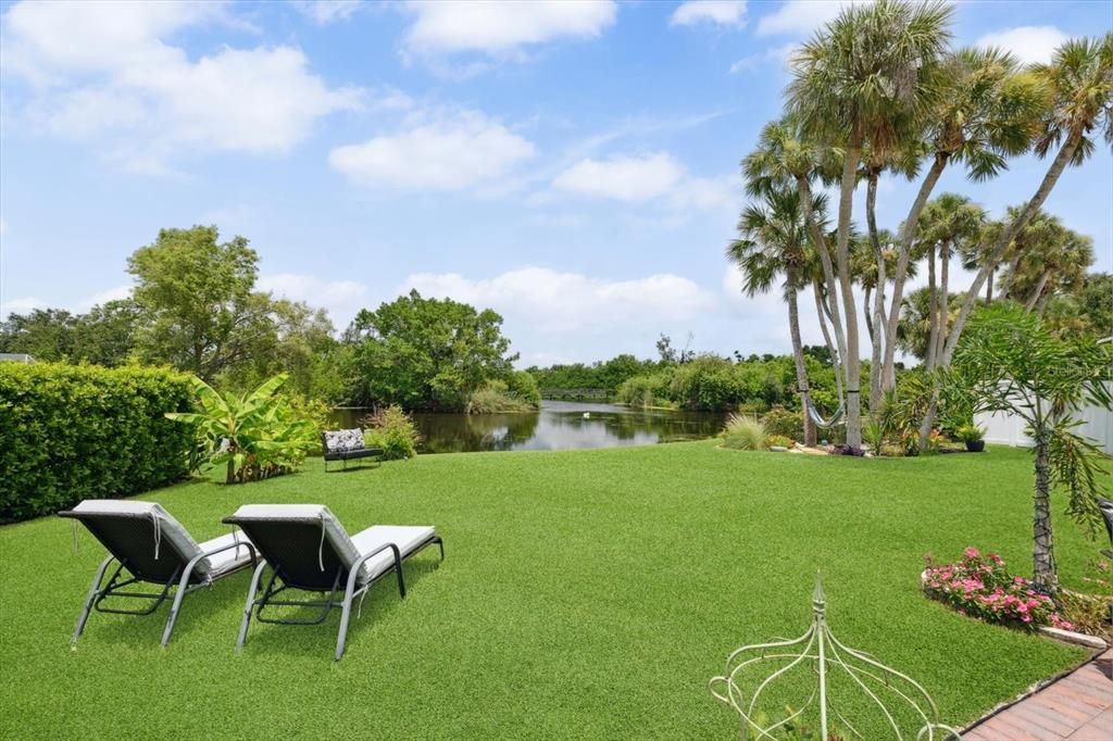Backyard, Exterior, Water