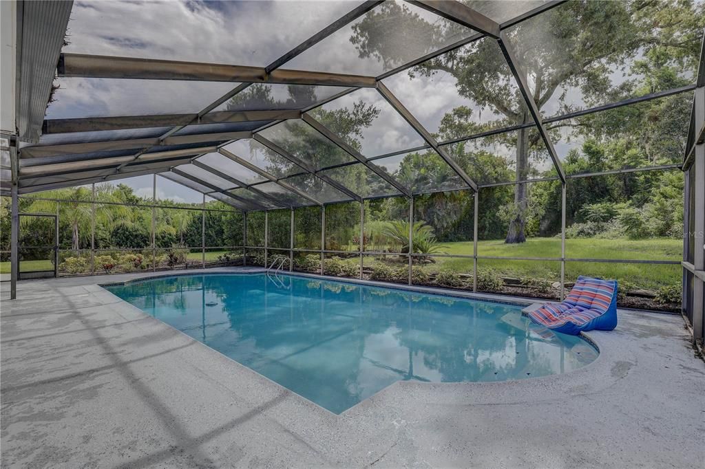 Glass Ceilings, Interior, Pool, Sun Room