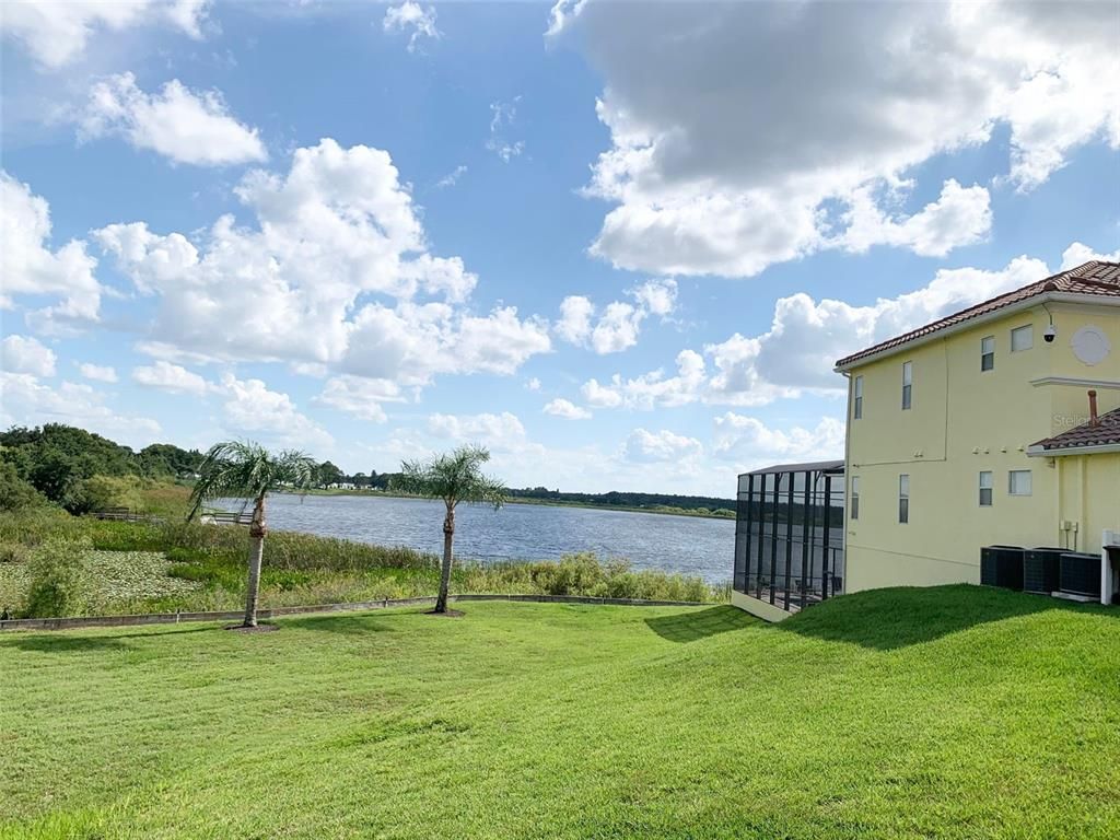 Backyard, Exterior, Water