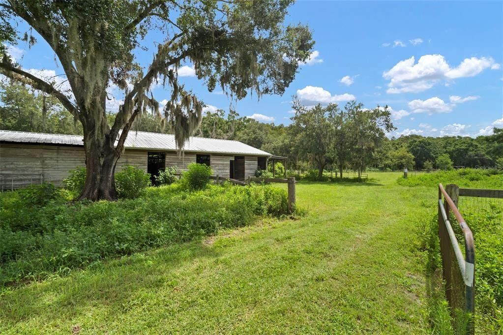 Backyard, Exterior