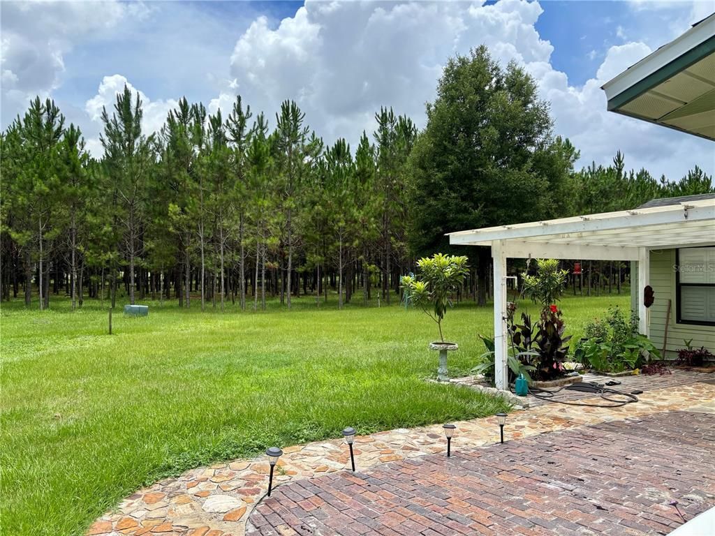 Backyard, Exterior