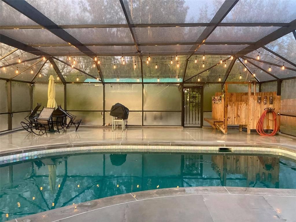 Glass Ceilings, Interior, Pool, Sun Room