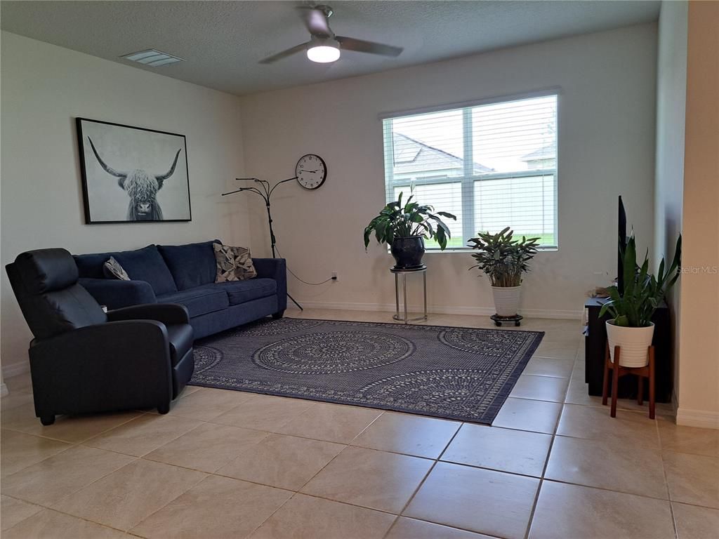 Interior, Living room