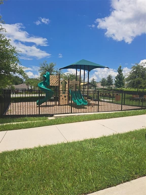 Backyard, Exterior, Playground