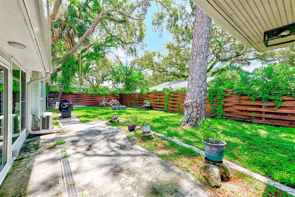 Backyard, Exterior
