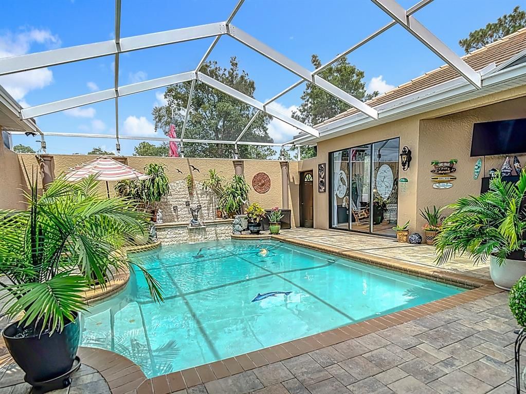 Glass Ceilings, Interior, Pool, Sun Room