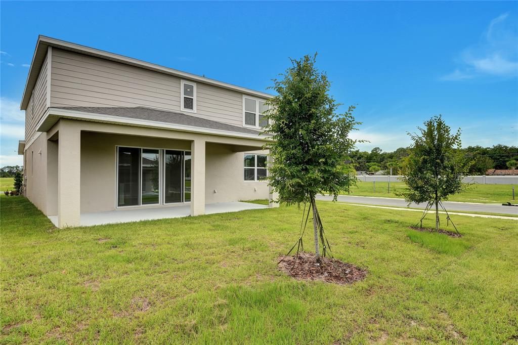 Backyard, Exterior