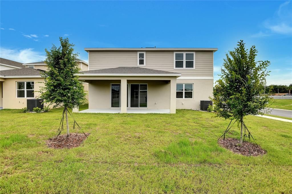 Backyard, Exterior