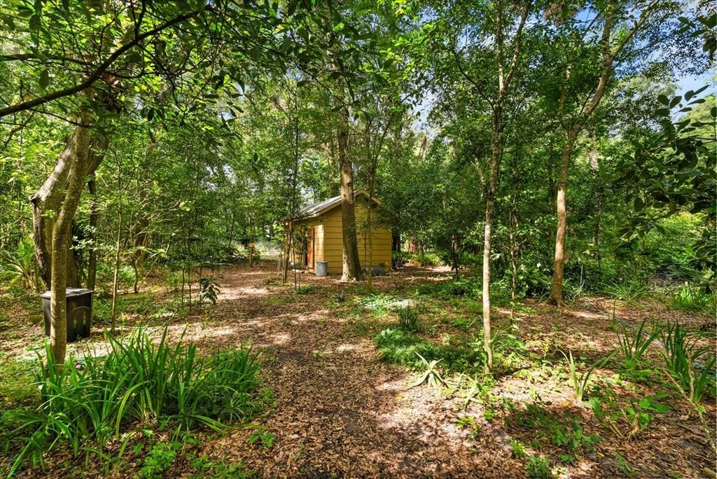 Backyard, Exterior