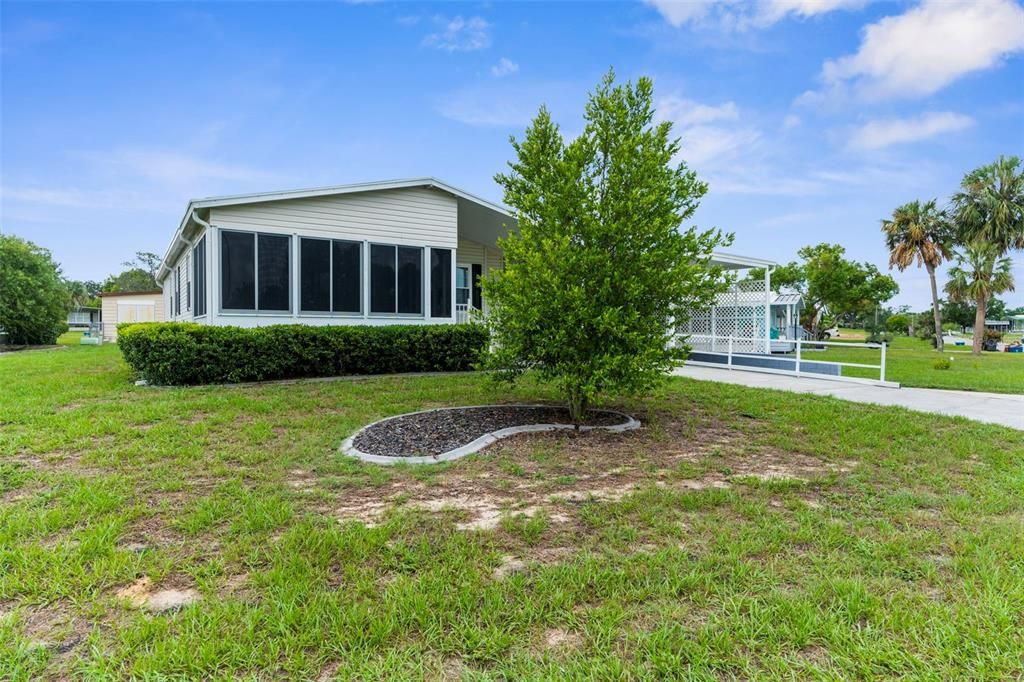 Backyard, Exterior