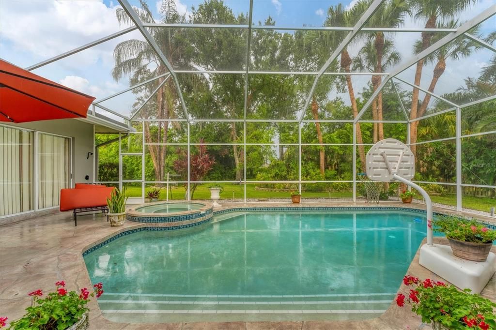 Glass Ceilings, Interior, Pool, Sun Room