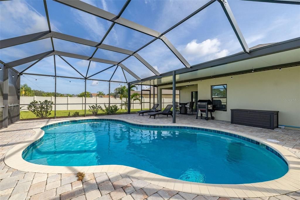 Glass Ceilings, Interior, Pool, Sun Room