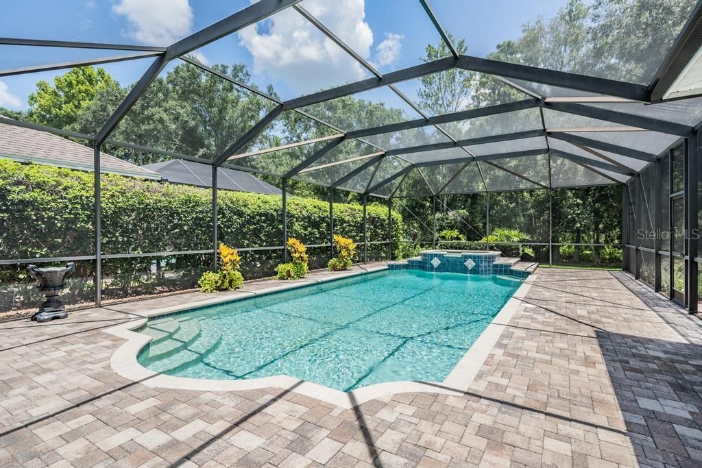 Glass Ceilings, Interior, Pool, Sun Room