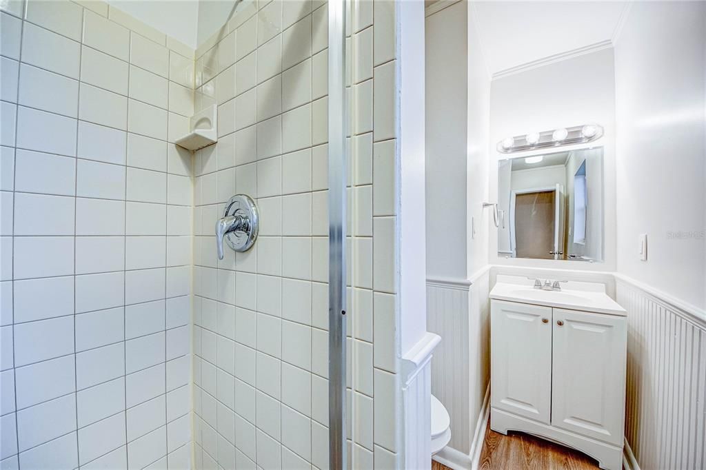 Bathroom, Interior, Wood Texture Flooring