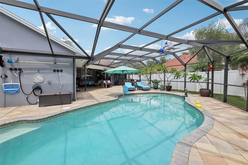 Glass Ceilings, Interior, Pool, Sun Room