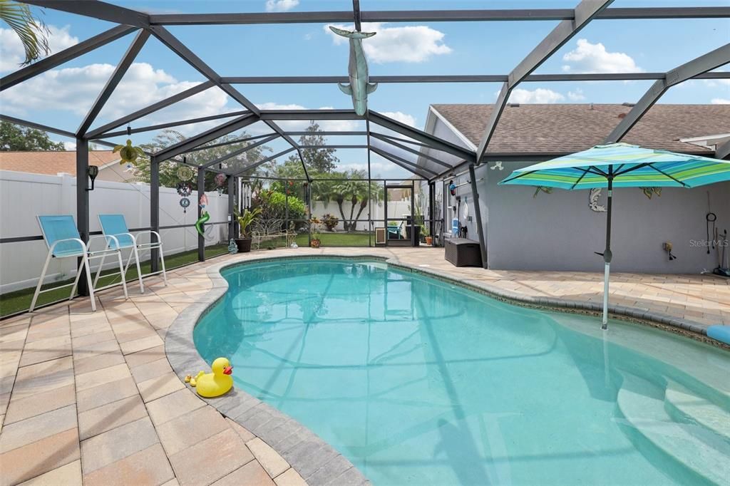 Glass Ceilings, Interior, Pool, Sun Room