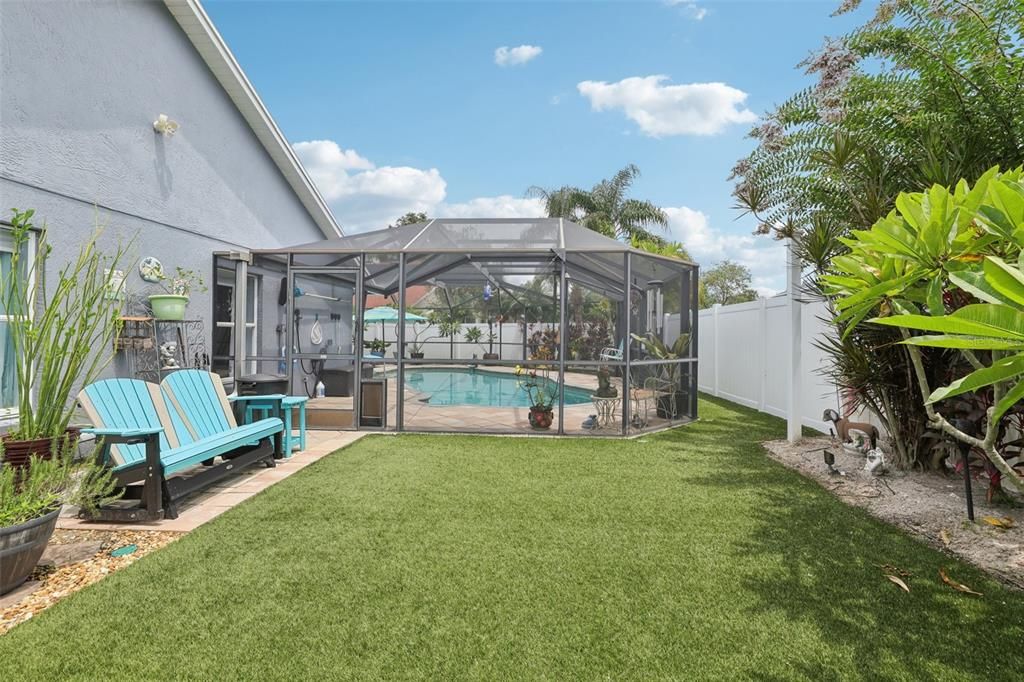 Backyard, Exterior, Pool