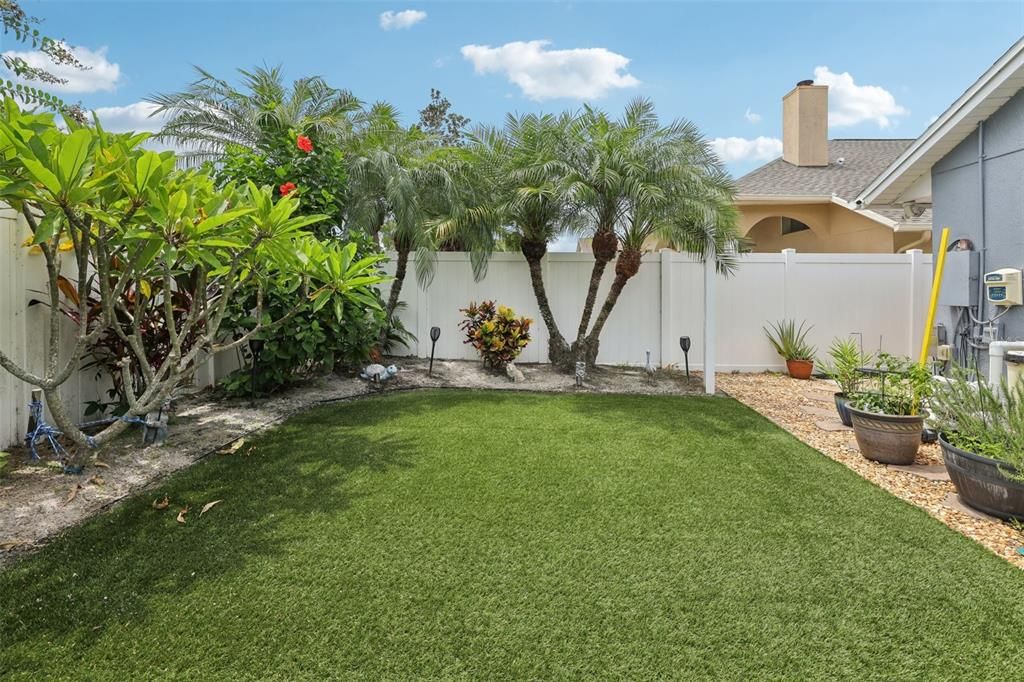 Backyard, Exterior