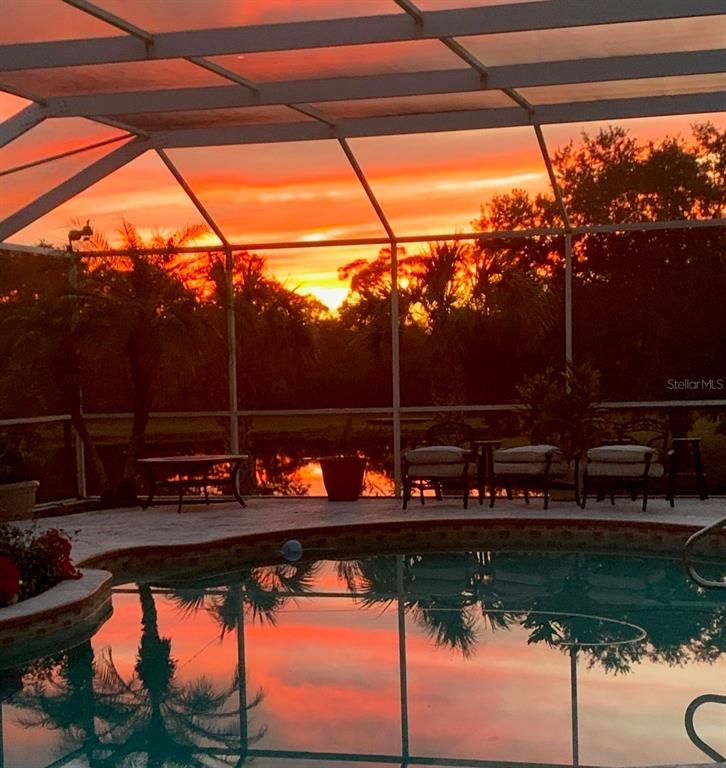 Glass Ceilings, Interior, Pool, Sun Room