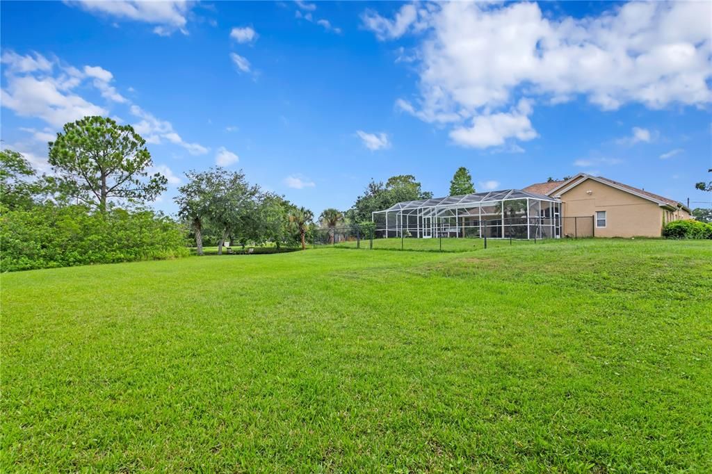Backyard, Exterior