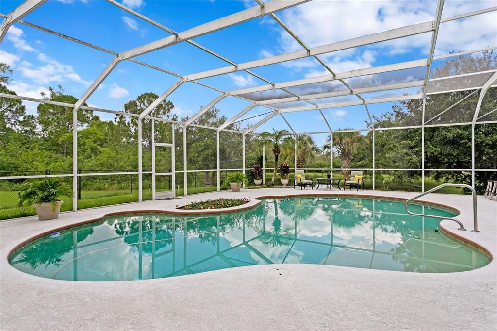 Glass Ceilings, Interior, Pool, Sun Room