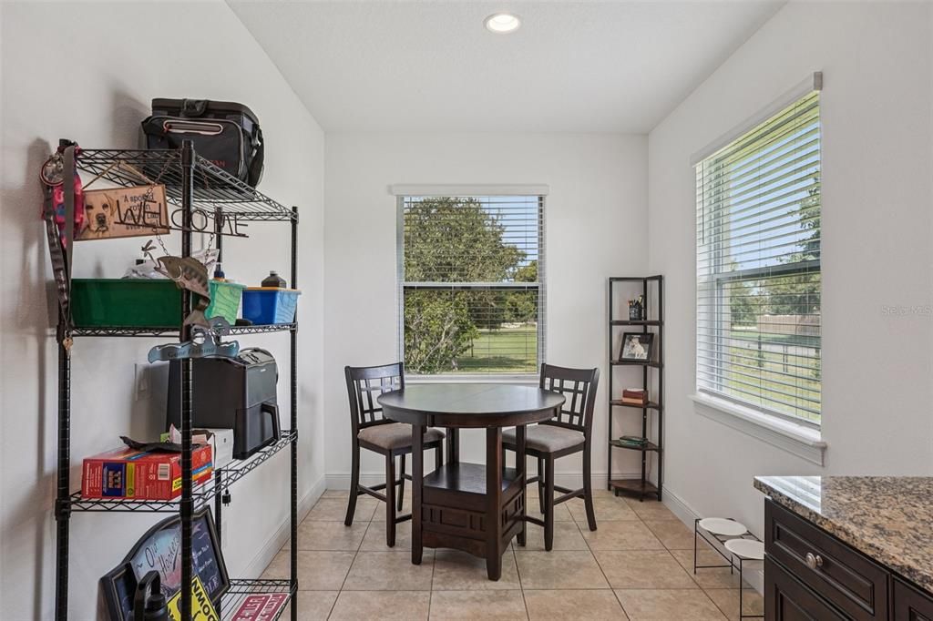 Dining room, Interior, Recessed Lighting