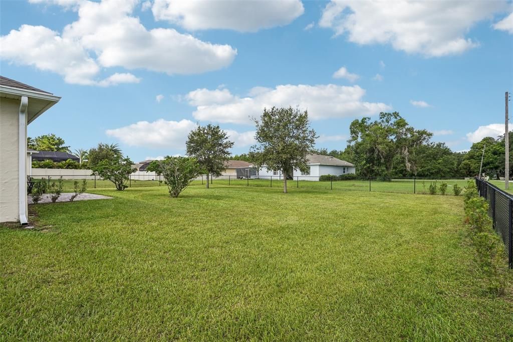 Backyard, Exterior