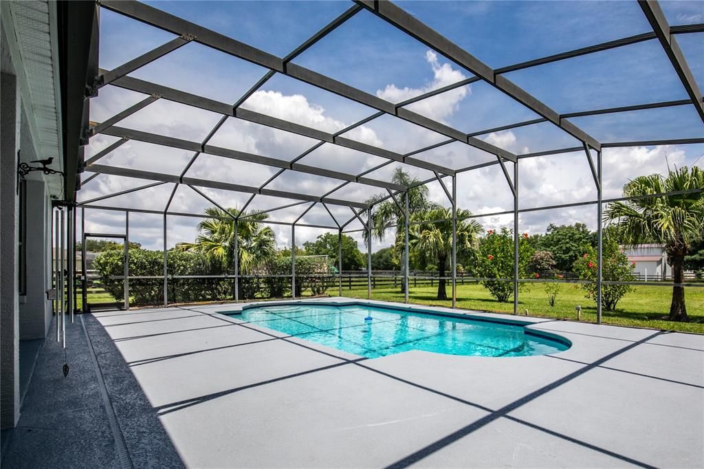 Glass Ceilings, Interior, Pool, Sun Room