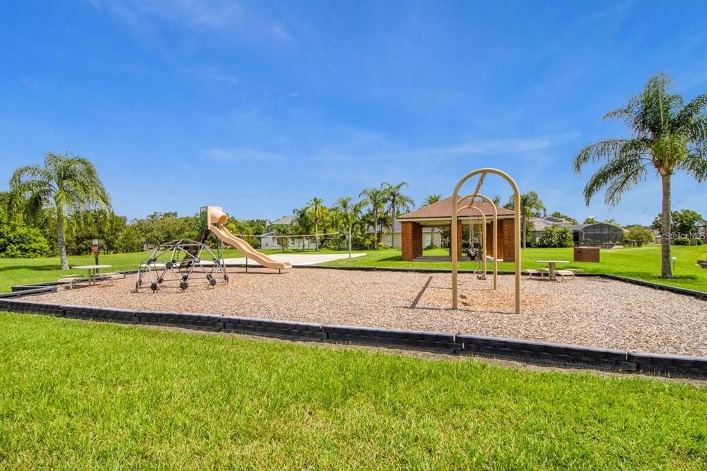 Backyard, Exterior, Playground