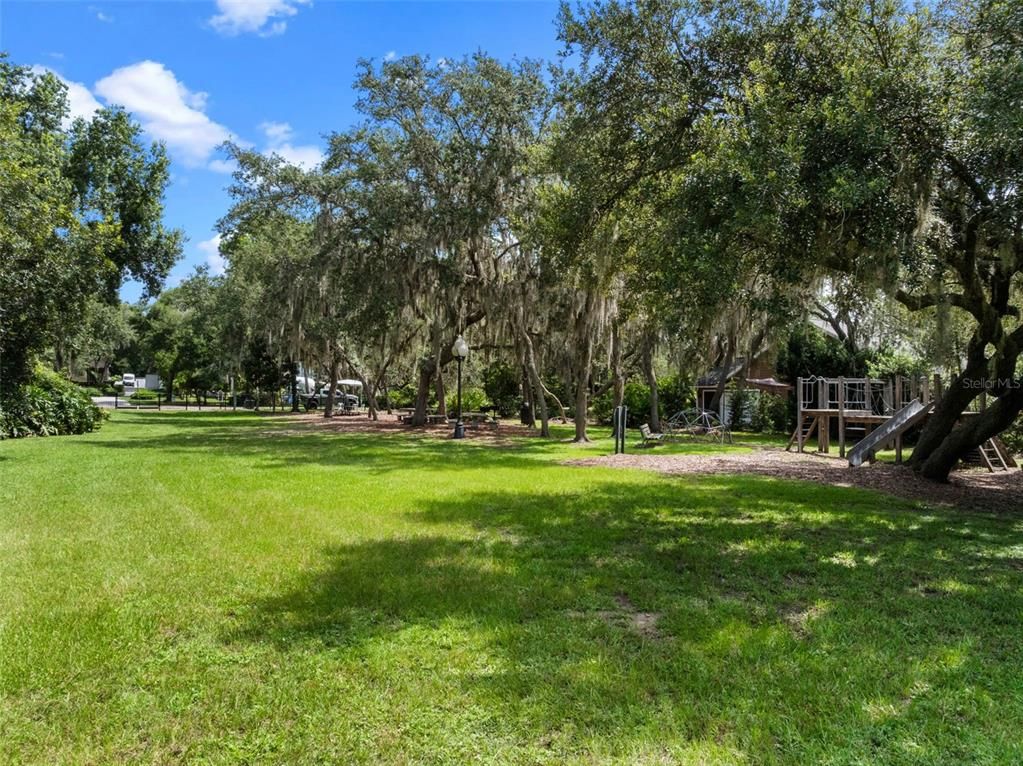 Backyard, Exterior, Playground