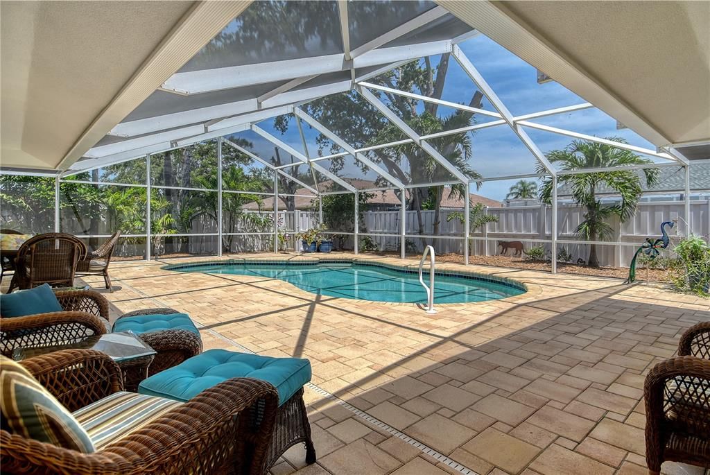 Glass Ceilings, Interior, Pool, Sun Room