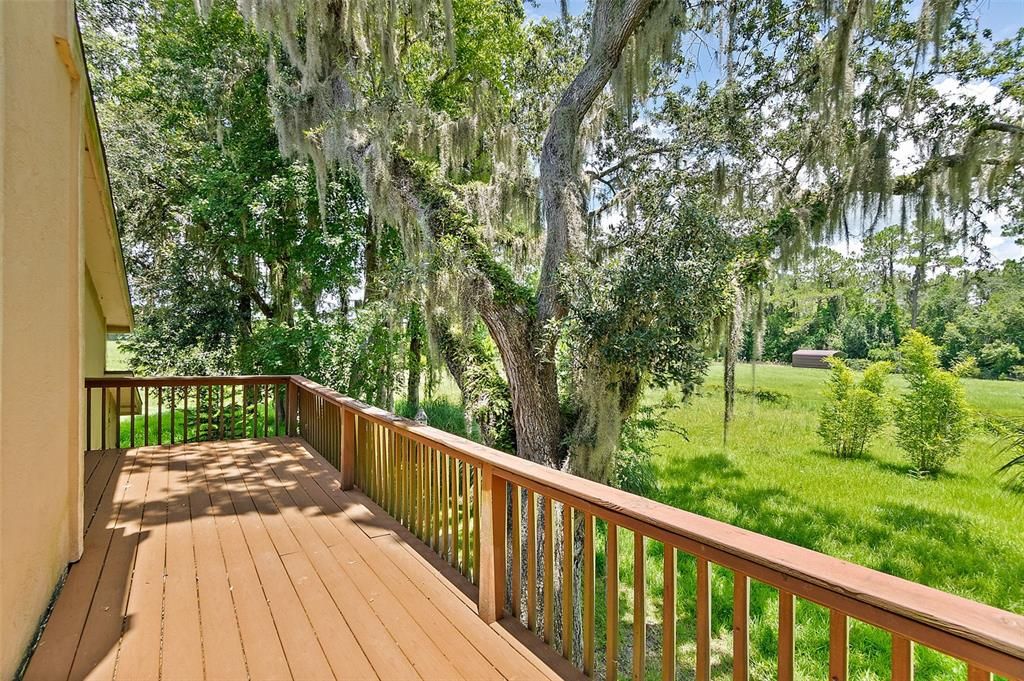 Backyard, Exterior, Wood Texture Flooring