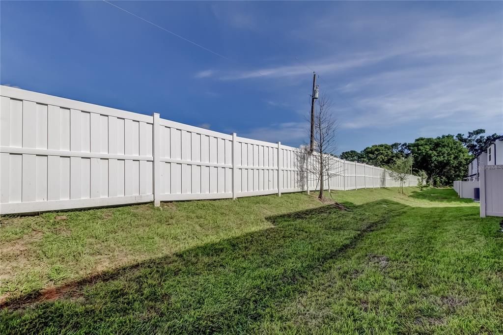 Backyard, Exterior
