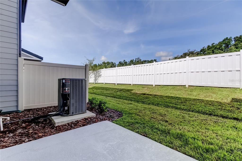 Backyard, Exterior