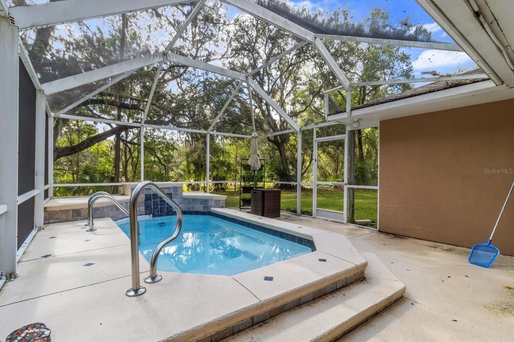 Glass Ceilings, Interior, Pool, Sun Room