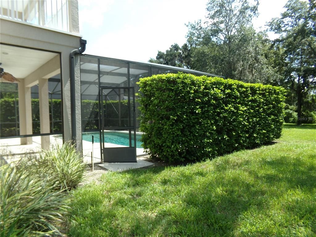 Backyard, Exterior