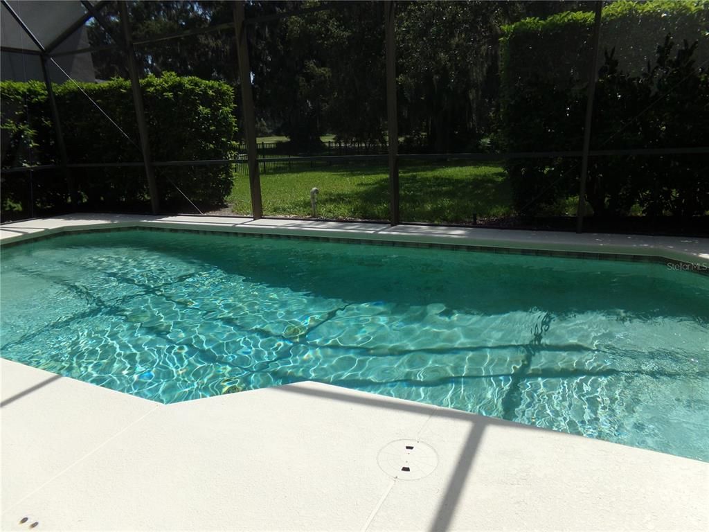 Interior, Pool, Sun Room