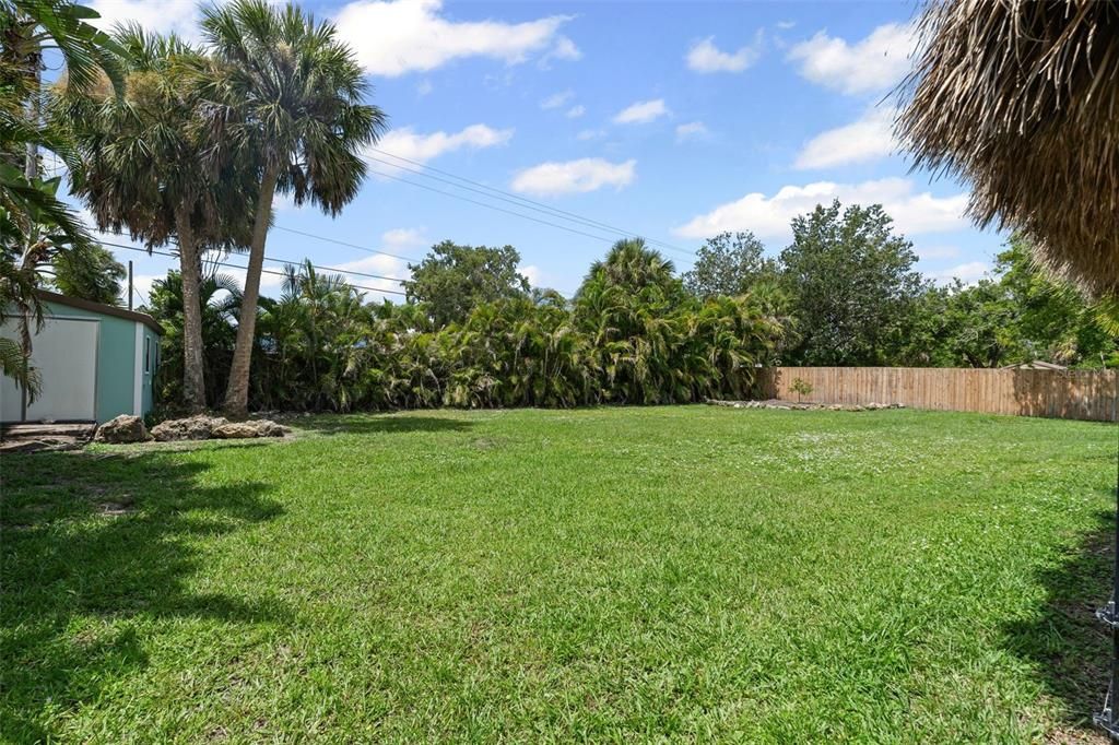 Backyard, Exterior