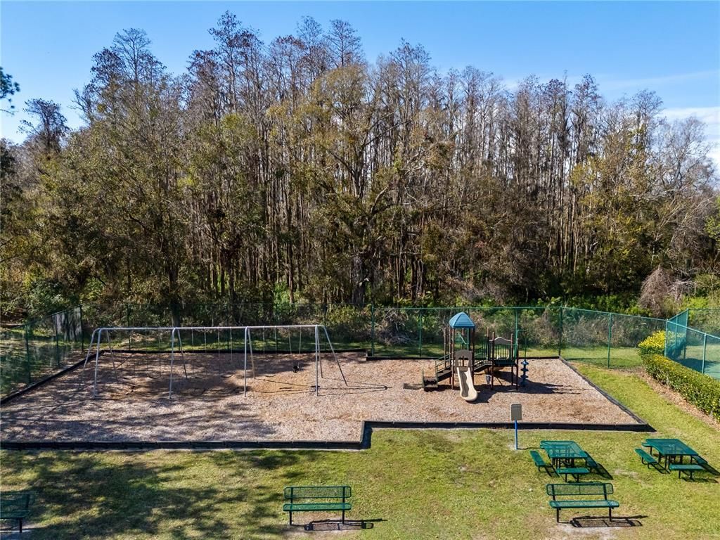 Backyard, Exterior, Playground
